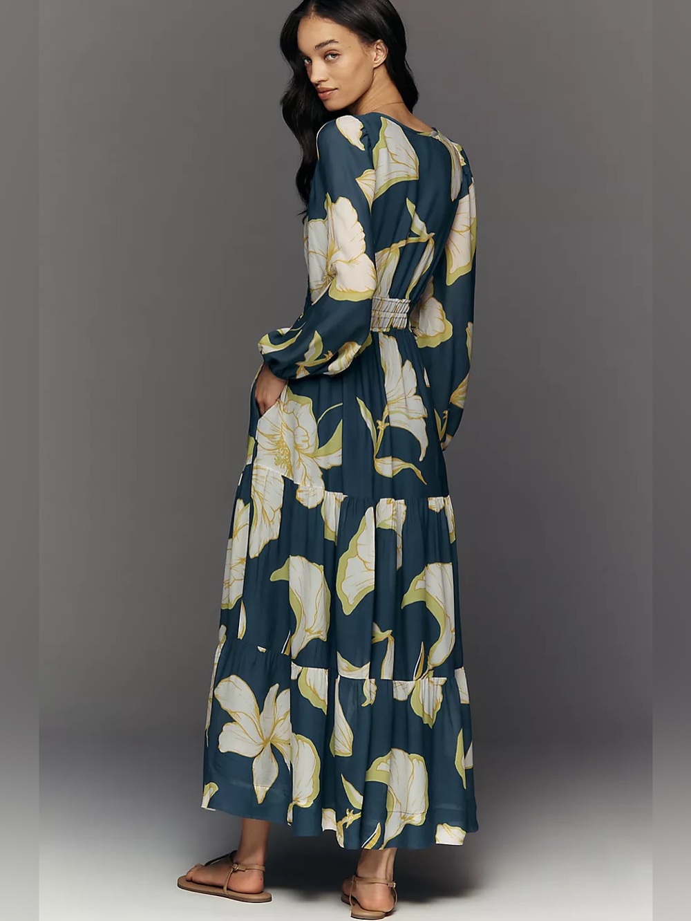 NWT Size S - Somerset Maxi Dress: Long-Sleeve Chiffon Edition (US$ 178) - Picture 7 of 16
